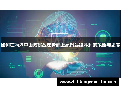 如何在海港中面对挑战逆势而上赢得最终胜利的策略与思考